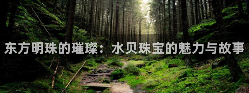 新宝5是什么样子的