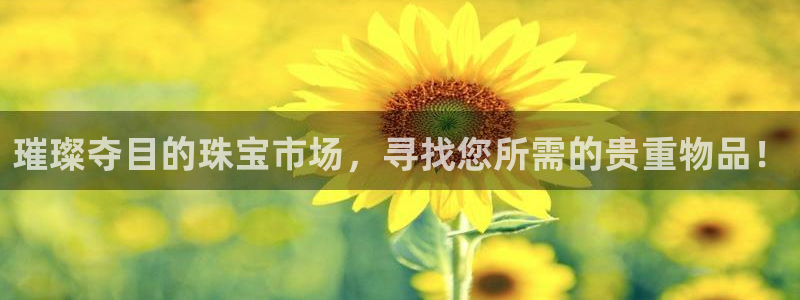 新宝5官网平台