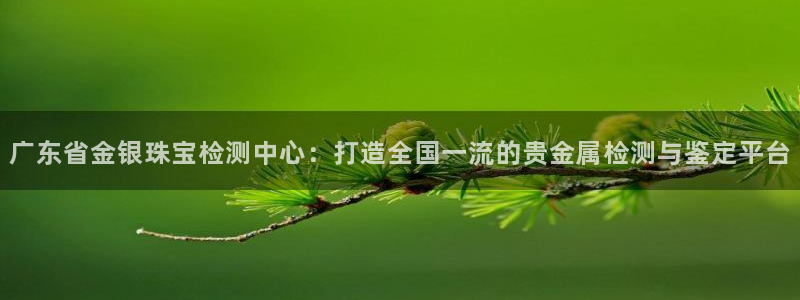 新宝5五：广东省金银珠宝检测中心：打造全国一流的贵金属检测与鉴定平台