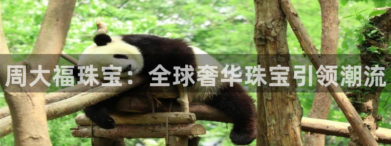 新宝5手机版登录：周大福珠宝：全球奢华珠宝引领潮流