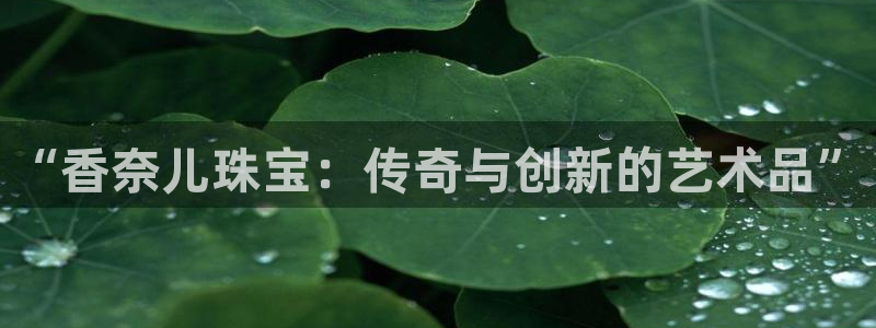 新宝5官网