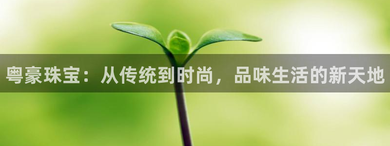 新宝5怎么下载到桌面：粤豪珠宝：从传统到时尚，品味生活的新天地