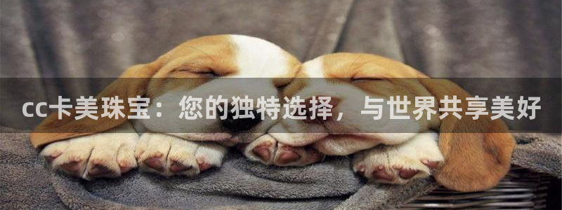 新5宝：cc卡美珠宝：您的独特选择，与世界共享美好