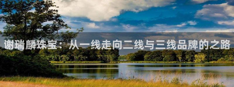 新宝_5：谢瑞麟珠宝：从一线走向二线与三线品牌的之路