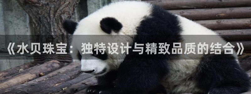 新宝5蒋74OOO5：《水贝珠宝：独特设计与精致品质的结合》