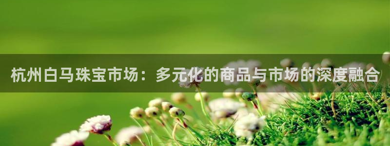 新宝5娱乐登陆：杭州白马珠宝市场：多元化的商品与市场的深度融合