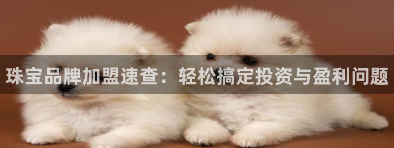 新宝5地址：珠宝品牌加盟速查：轻松搞定投资与盈利问题