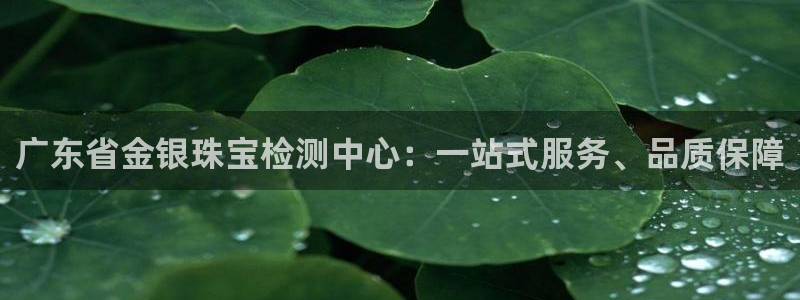 新宝3得74OO5：广东省金银珠宝检测中心：一站式服务、品质保障