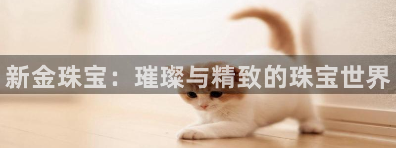 新宝5娱乐：新金珠宝：璀璨与精致的珠宝世界