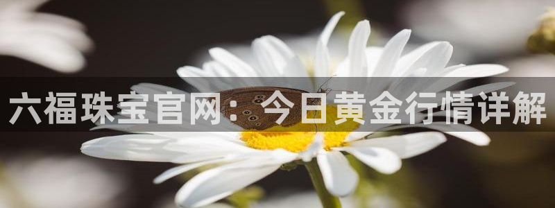 新宝5登录注册：六福珠宝官网：今日黄金行情详解