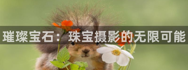 新宝5注册首页：璀璨宝石：珠宝摄影的无限可能