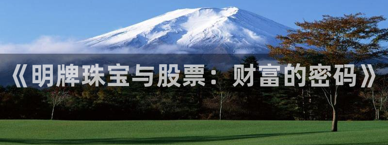 新宝G5：《明牌珠宝与股票：财富的密码》