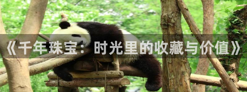 新宝5尤74OOO5：《千年珠宝：时光里的收藏与价值》