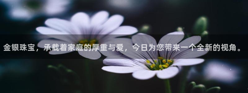 新宝 5测速：金银珠宝，承载着家庭的厚重与爱，今日为您带来一个全新的视角。