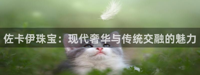 新宝5策略：佐卡伊珠宝：现代奢华与传统交融的魅力