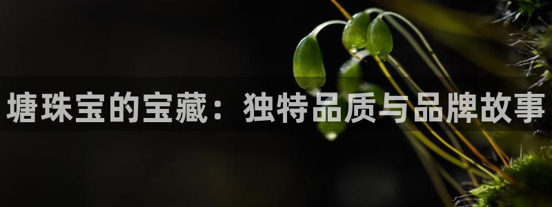 新宝5测速平台登录：塘珠宝的宝藏：独特品质与品牌故事