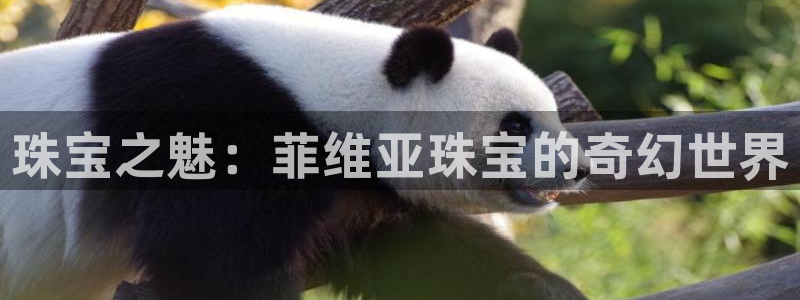 新宝5蒋74OOO5：珠宝之魅：菲维亚珠宝的奇幻世界
