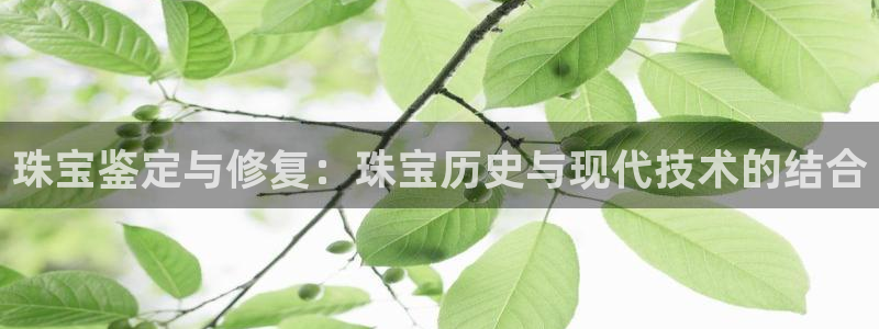 新宝5总代：珠宝鉴定与修复：珠宝历史与现代技术的结合