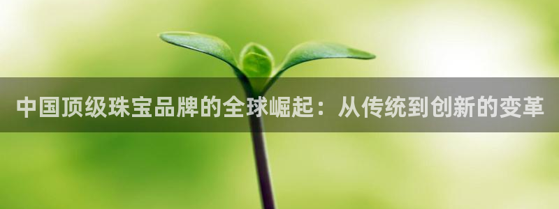 新宝5客户端登录：中国顶级珠宝品牌的全球崛起：从传统到创新的变革