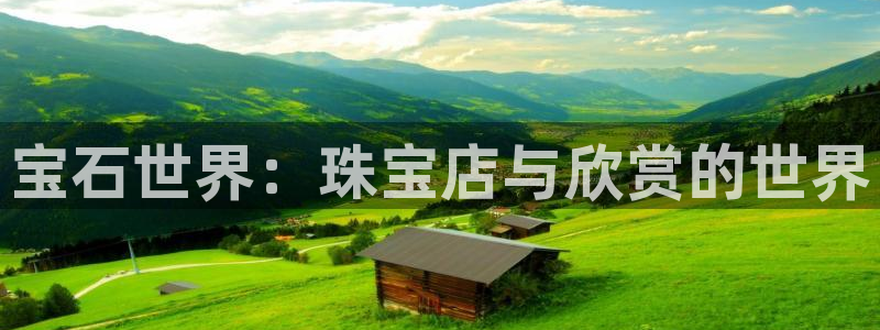 新宝5平台注册公司：宝石世界：珠宝店与欣赏的世界