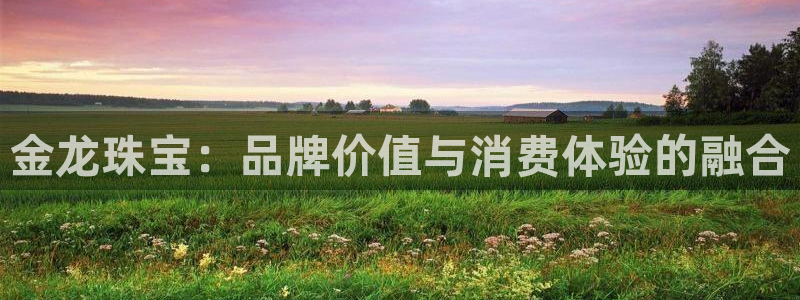 新宝5下载到桌面：金龙珠宝：品牌价值与消费体验的融合