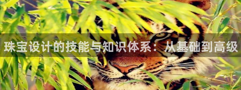 新宝 5测速：珠宝设计的技能与知识体系：从基础到高级