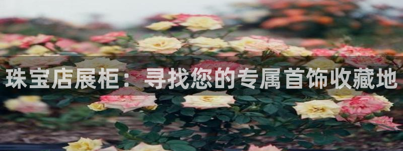 新宝5-测速：珠宝店展柜：寻找您的专属首饰收藏地