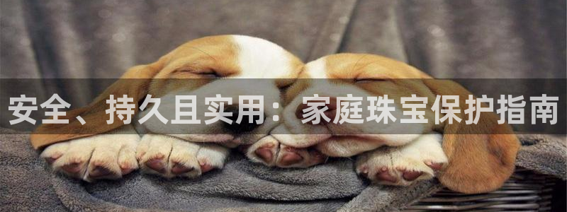 新宝5褚74OOO5：安全、持久且实用：家庭珠宝保护指南