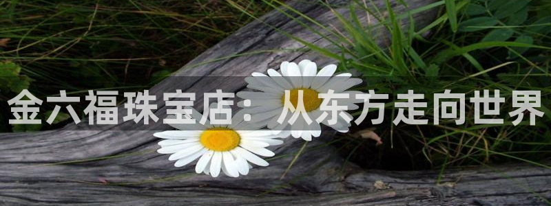 新宝5娱乐注：金六福珠宝店：从东方走向世界