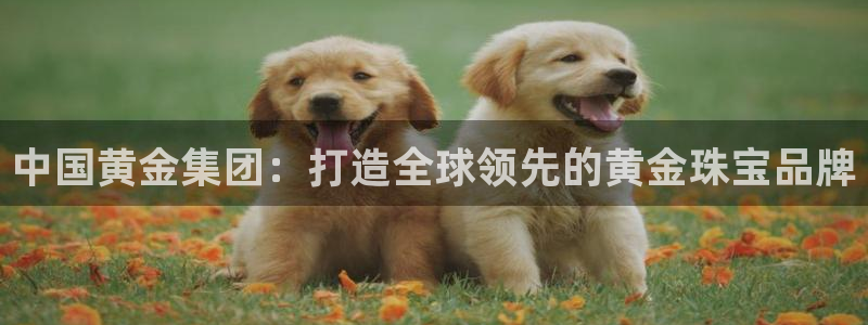 新宝5可靠吗：中国黄金集团：打造全球领先的黄金珠宝品牌