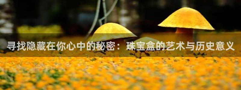 新宝5娱乐家：寻找隐藏在你心中的秘密：珠宝盒的艺术与历史意义