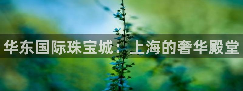 新宝5平台登录下载软件：华东国际珠宝城：上海的奢华殿堂