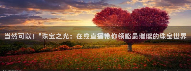 新宝5是什么样子的：当然可以！\