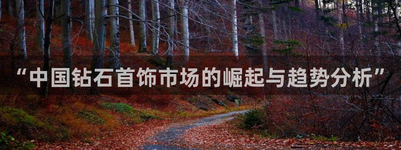 新宝5为啥开：“中国钻石首饰市场的崛起与趋势分析”