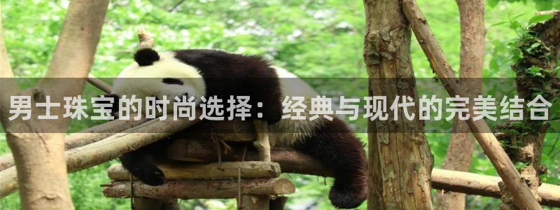 新宝5软件下载：男士珠宝的时尚选择：经典与现代的完美结合