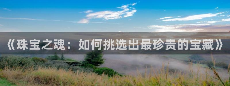 新宝 5测速：《珠宝之魂：如何挑选出最珍贵的宝藏》