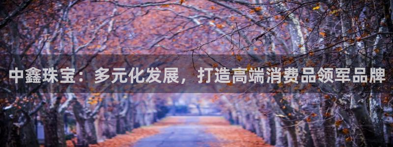 新宝娱乐5：中鑫珠宝：多元化发展，打造高端消费品领军品牌