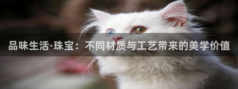 新宝5娱乐多：品味生活·珠宝：不同材质与工艺带来的美学价值