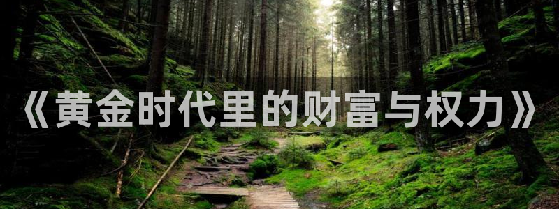 新宝5月：《黄金时代里的财富与权力》