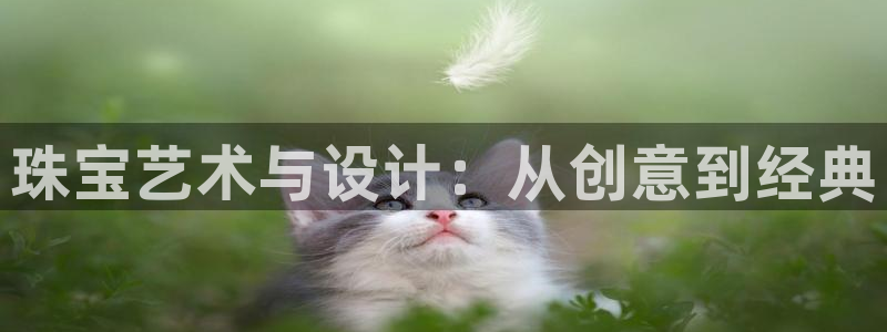 新宝股东王听2 5 5：珠宝艺术与设计：从创意到经典