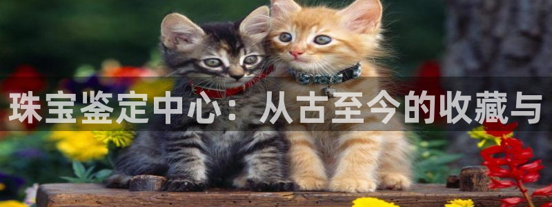 老新宝5授权登录：珠宝鉴定中心：从古至今的收藏与