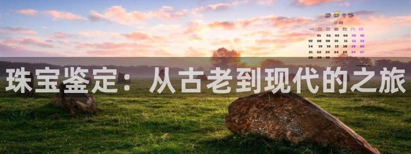 新宝5是谁：珠宝鉴定：从古老到现代的之旅