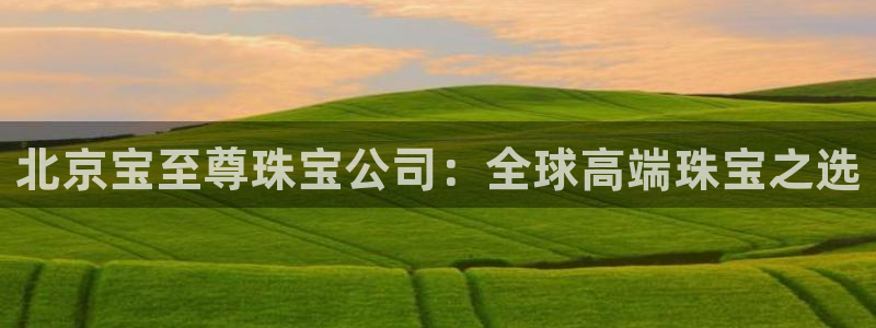 新宝5注册平台：北京宝至尊珠宝公司：全球高端珠宝之选