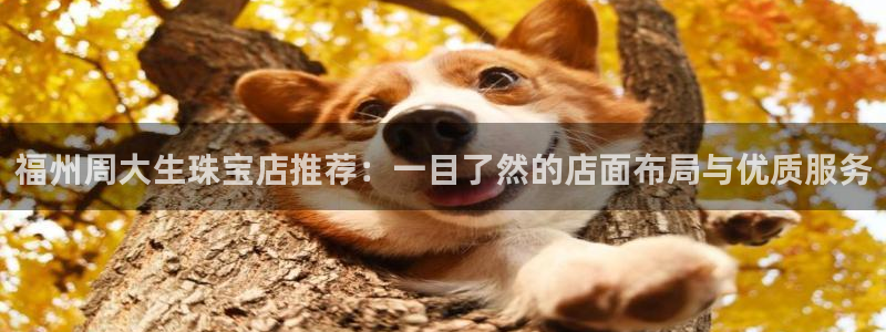 新宝5五：福州周大生珠宝店推荐：一目了然的店面布局与优质服务