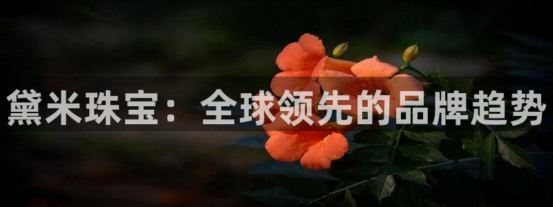 新宝5官网67五壹叁八：黛米珠宝：全球领先的品牌趋势