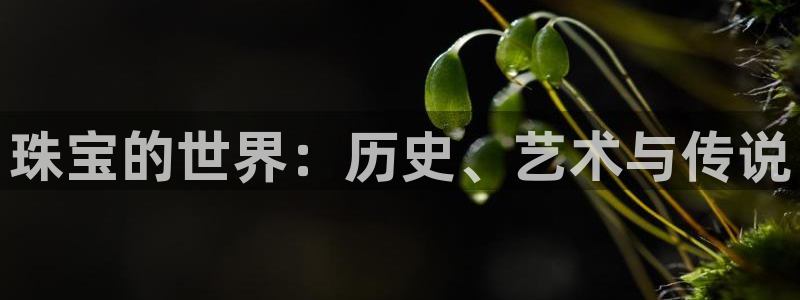 新宝5招商222111：珠宝的世界：历史、艺术与传说