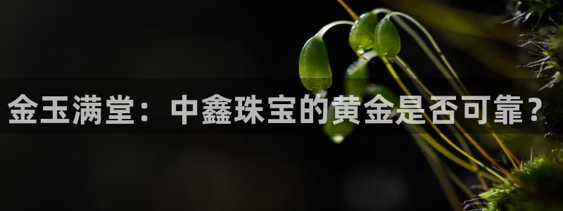 新宝5注册测速登录：金玉满堂：中鑫珠宝的黄金是否可靠？