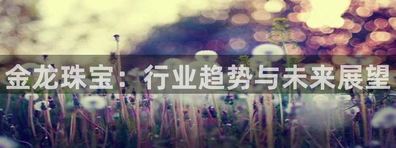 新宝5吕74OOO5：金龙珠宝：行业趋势与未来展望