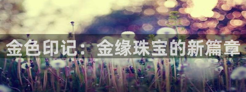 新宝rm5：金色印记：金缘珠宝的新篇章