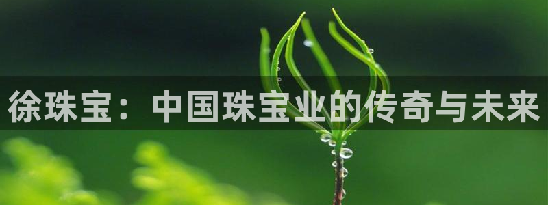 新宝骏rc5W：徐珠宝：中国珠宝业的传奇与未来